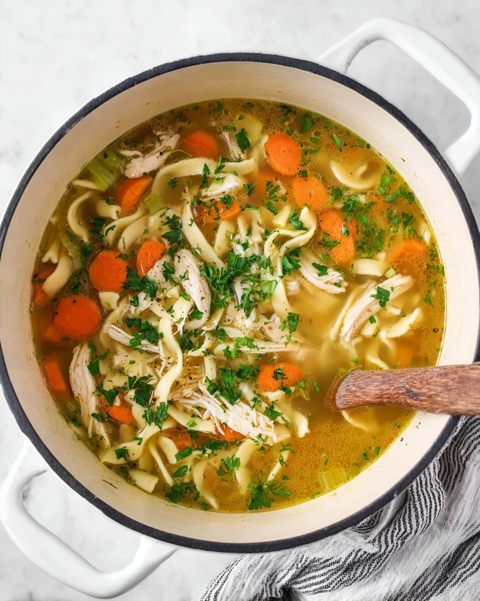 chicken noodle soup - Serving Suggestion